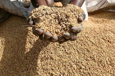 Delhi Food Minister Directs Department to Begin Doorstep Delivery of Ration Without Any Delay