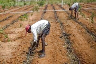 Telangana to Give Aid of Rs 10 lakhs to Marginalized Dalit Families, Spend Rs 40,000 Cr Towards Their Empowerment