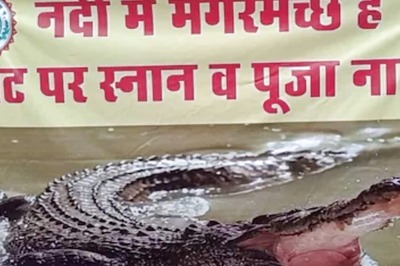 Crocodile Sighting At Sethani Ghat Prompts Security Measures In Narmadapuram