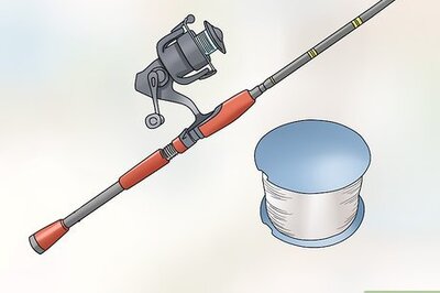 How to Catch Perch