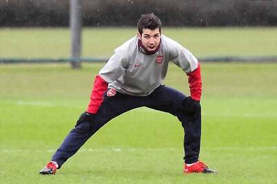 Spain's Fabregas ready to play despite pain