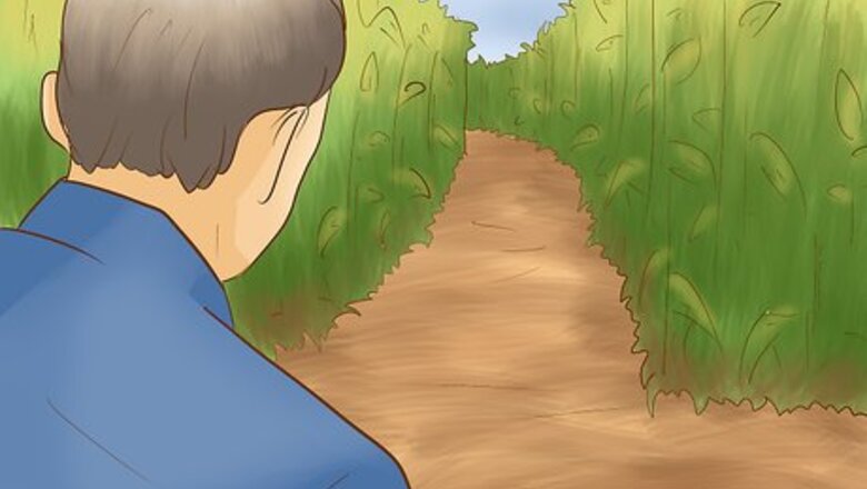How to Find Your Way Through a Corn Maze