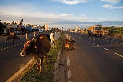 Centre to award new road projects on PPP, hybrid model: Nitin Gadkari