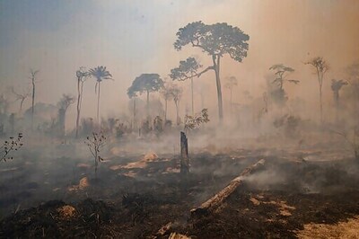 Brazil Forest Fire Season Underway And Raising Concern