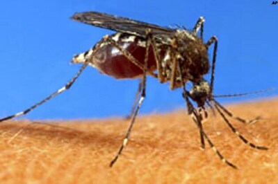 AP govt, private hospitals duel over dengue scare
