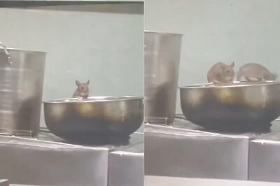 Rats Feast on Pantry Food on Mumbai-Goa Express Train, IRCTC Responds After Video Disgusts Internet