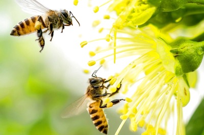 Why Community is Key to Making Biodiversity Conservation a Long-Term Success