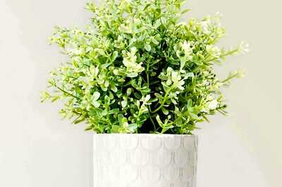 5 Home Decor Ideas For The Summers Ahead