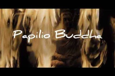 Makers of 'Papilio Buddha' move Censor tribunal