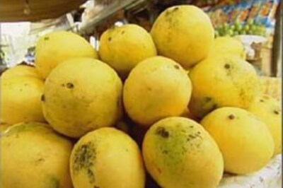 A mango a day may keep diabetes at bay