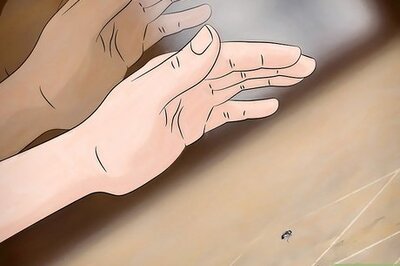 How to Swat a Fly Without a Fly Swatter