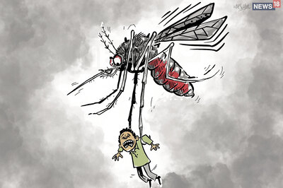 Ludhiana Reels Under Mosquito-borne Diseases as 4 Succumb to Dengue Fever