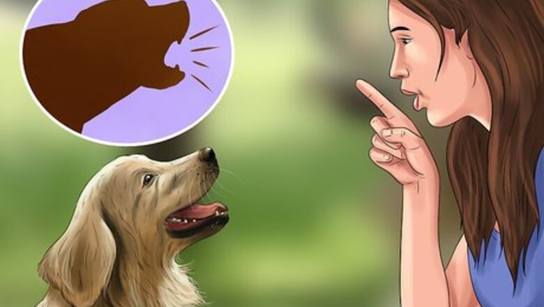 How to Keep Your Dog Under Control Outside
