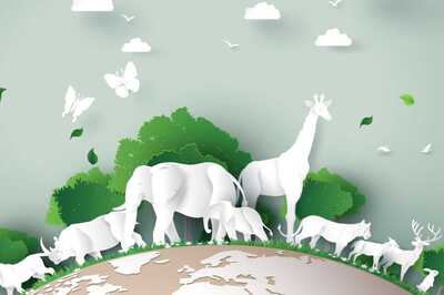 World Environment Day 2022: Follow These Practices In Daily Life To Conserve Nature