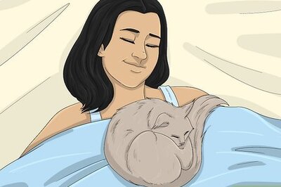 What Does It Mean Spiritually When a Cat Sleeps on Your Chest?