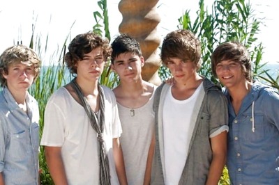 One Direction's Zayn, Louis, Harry, Niall Pay Tribute to Liam Payne: 'We'll Take Time to Grieve...'