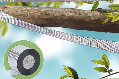 How to Keep Birds Away