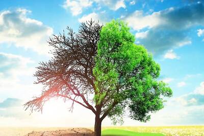 World Environment Day 2023: 10 Must-read Books on the Environment and Climate Change