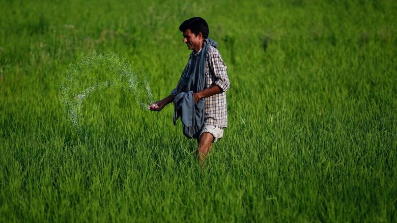 Commercial Release of Nano-DAP Receives Nod from Centre, One Bottle to Cost Rs 600