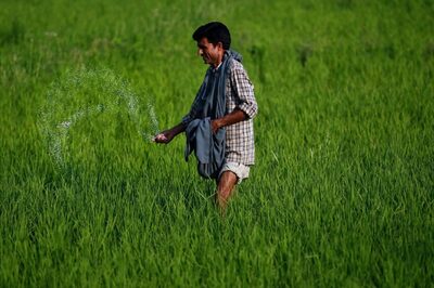 Commercial Release of Nano-DAP Receives Nod from Centre, One Bottle to Cost Rs 600