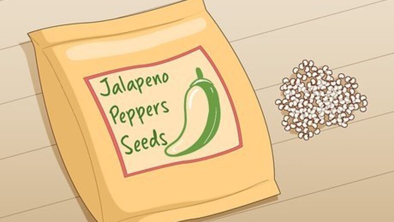 How to Grow Jalapeno Peppers