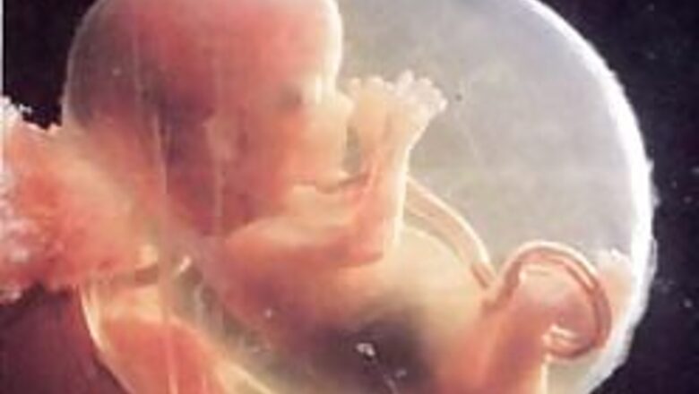 A dispute over embryos’ right to life