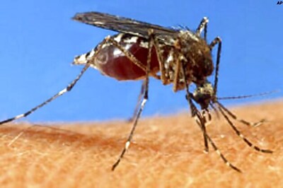 Odisha: Dengue hits 26 out of 30 districts, nearly 3,500 people test positive
