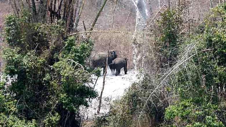 Nagarhole Tiger Reserve smoulders, but who cares?