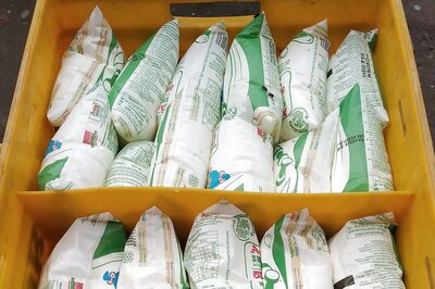 Mother Dairy, Amul Milk Prices to Increase by Rs 2 per Litre from Today; Details Here