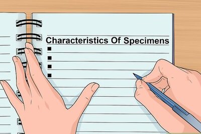 How to Make a Dichotomous Key