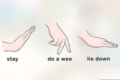 How to Use Hand Signals to Train a Dog that is Deaf