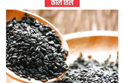 Why Black Sesame Seeds are a Must For You in Winter