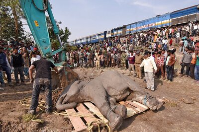 More Than 130 Elephants Killed on Railway Tracks Since 2014, Most in Northeast Frontier Zone