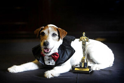 Uggie, the dog in 'The Artist', put down
