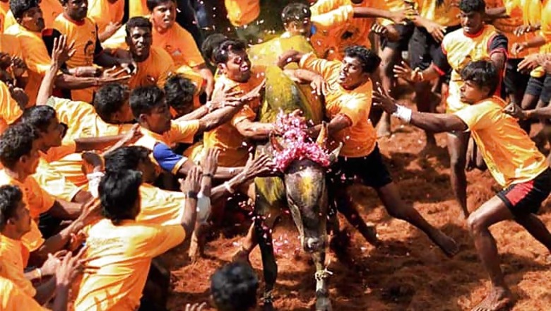 Protests on in Tamil Nadu, nod sought for Jallikattu