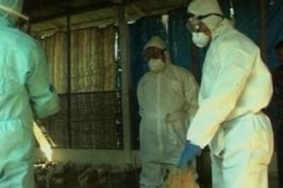 Bird flu scare in Assam, culling of poultry begins