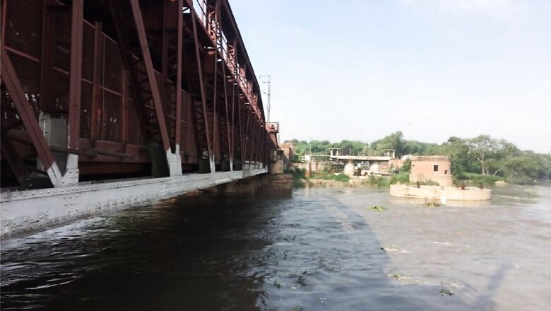 NGT Panel Recommends Reworking 1994 Water Pact to Revive Yamuna