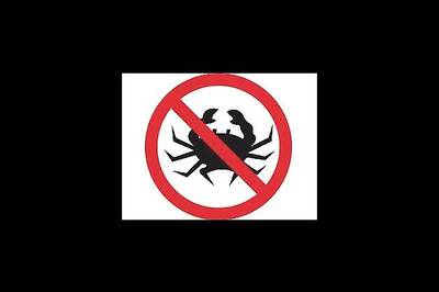 Alcohol consumption does not affect breast cancer survival: study