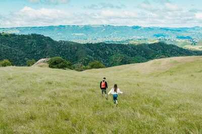 Discover Tri-Valley: The Ultimate Itinerary to a Perfect Getaway