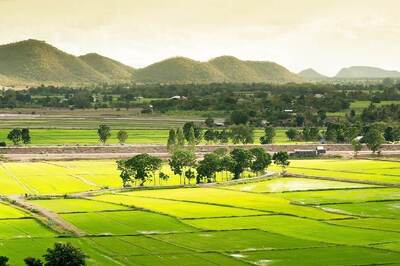 9.8 Crore Rural Land Parcels Tagged With Unique Number, Project to be Rolled Out for Urban India Too