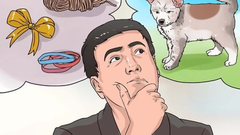 How to Make a Fun Toy for Your Small Dog