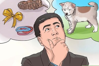 How to Make a Fun Toy for Your Small Dog