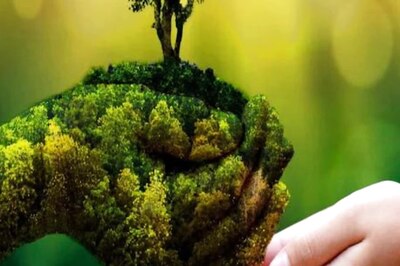 World Health Day 2022: Be Your Own Doctor With Naturopathy. Learn From The Expert