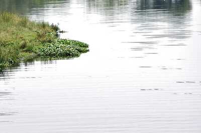 Yamuna Water Level in Delhi Crosses Warning Mark