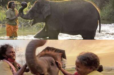Oscars 2023: 'The Elephant Whisperers' Strikes Gold, Indian Twitter Celebrates Proud Moment