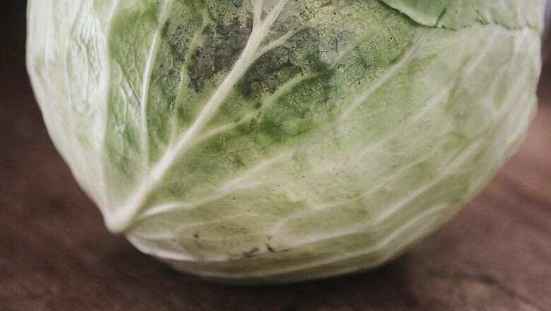Woman, Daughter Hospitalised After They ate Snake with Cabbage