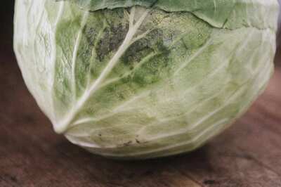 Woman, Daughter Hospitalised After They ate Snake with Cabbage