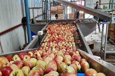 Kashmiri Apple Growers Seek Help from Locals This Ramzan as Lockdown Leaves Behind Bitter Taste