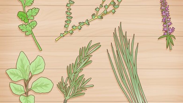 How to Grow Herbs in Water