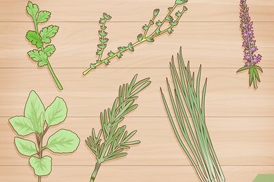 How to Grow Herbs in Water